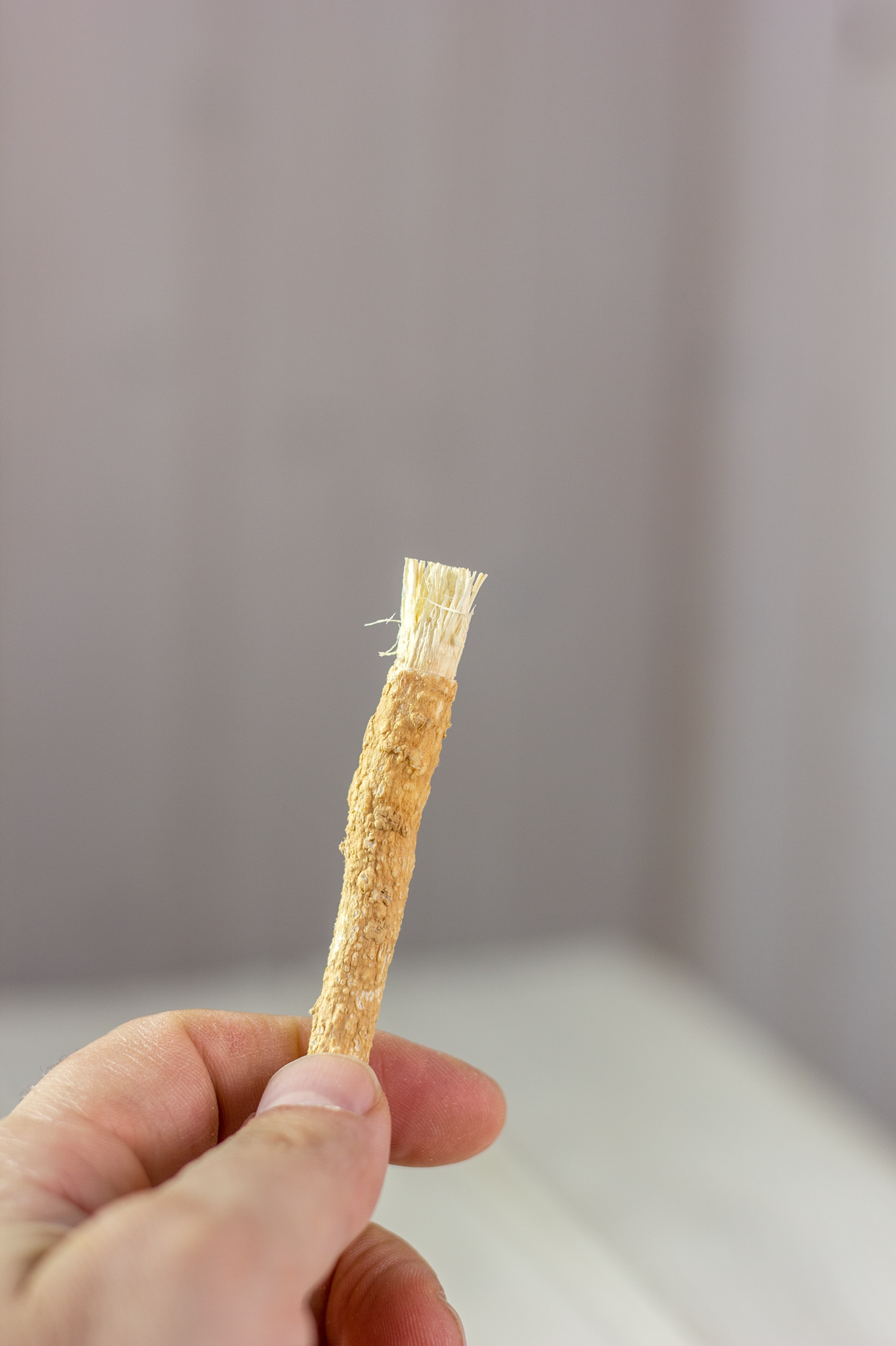 Miswak Raw Organic Toothbrush x 4