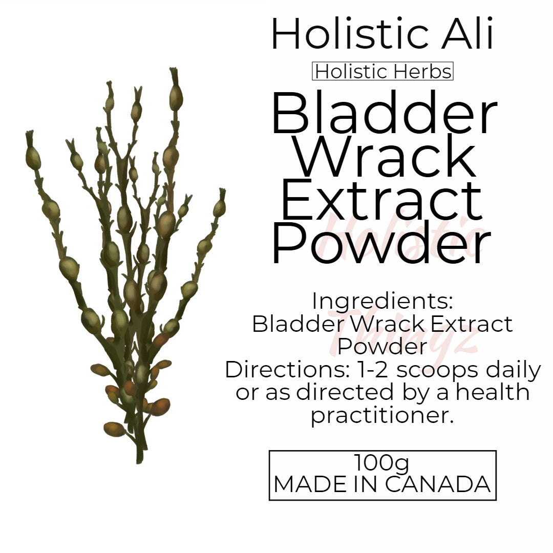 Bladderwrack Extract Powder – Nutrient-rich seaweed supplement with iodine to help support thyroid function, metabolism, and overall wellness.